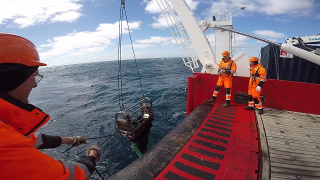 Dt6tXAIX4AAL_pf.jpg large