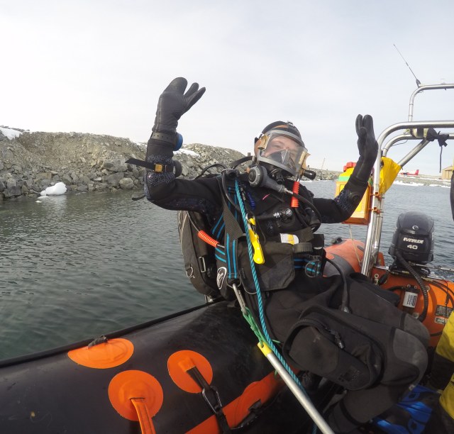 Photo credit A. Reichardt