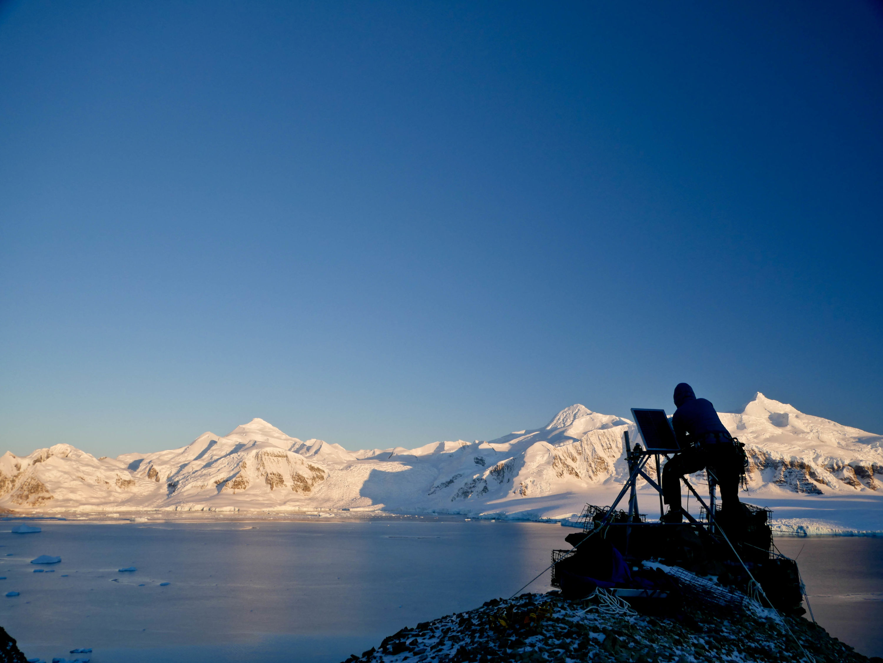 Photo credit: T. King