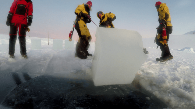 vlcsnap-2019-08-09-14h35m59s412